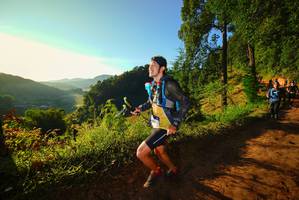 BIB: 
                            <button type="button" onclick="openModal(19169933)" class="btn btn-primary btn-sm float-right btn-popup" data-toggle="modal" data-target=".modal-high-quality">
                        <i class="fas fa-shopping-cart"></i> Add to Cart
                    </button>
                                            <button type="button" onclick="isThisMe(19169933, true)" class="btn btn-success btn-sm float-right btn-popup btn-isme hidden" data-toggle="tooltip" data-placement="bottom" title="นี่คือรูปของคุณใช่ไหม คลิกที่นี่เพื่อเอาเข้าอัลบั้ม">
                        <i class="fas fa-plus"></i> Add to album
                    </button>
                    <button type="button" onclick="isThisMe(19169933, false)" class="btn btn-warning btn-sm float-right btn-popup btn-isnotme hidden">
                        <i class="fas fa-ban"></i> Remove from album
                    </button>